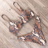 Sexy Bikini