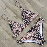 Sexy Bikini