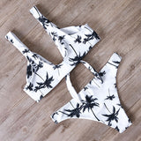 Sexy Bikini